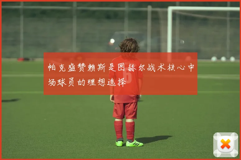 帕克盛赞赖斯是图赫尔战术核心中场球员的理想选择