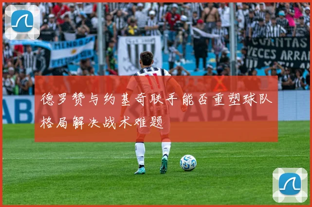 德罗赞与约基奇联手能否重塑球队格局解决战术难题